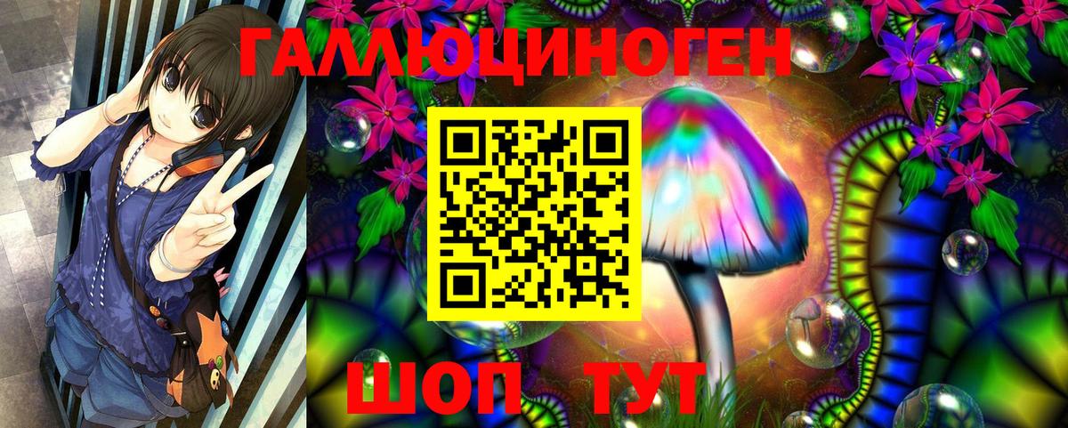 Рассказово  Галлюциногенные грибы прущие грибы  Вход с VPN  Псилоцибиновые грибы прущие грибы 